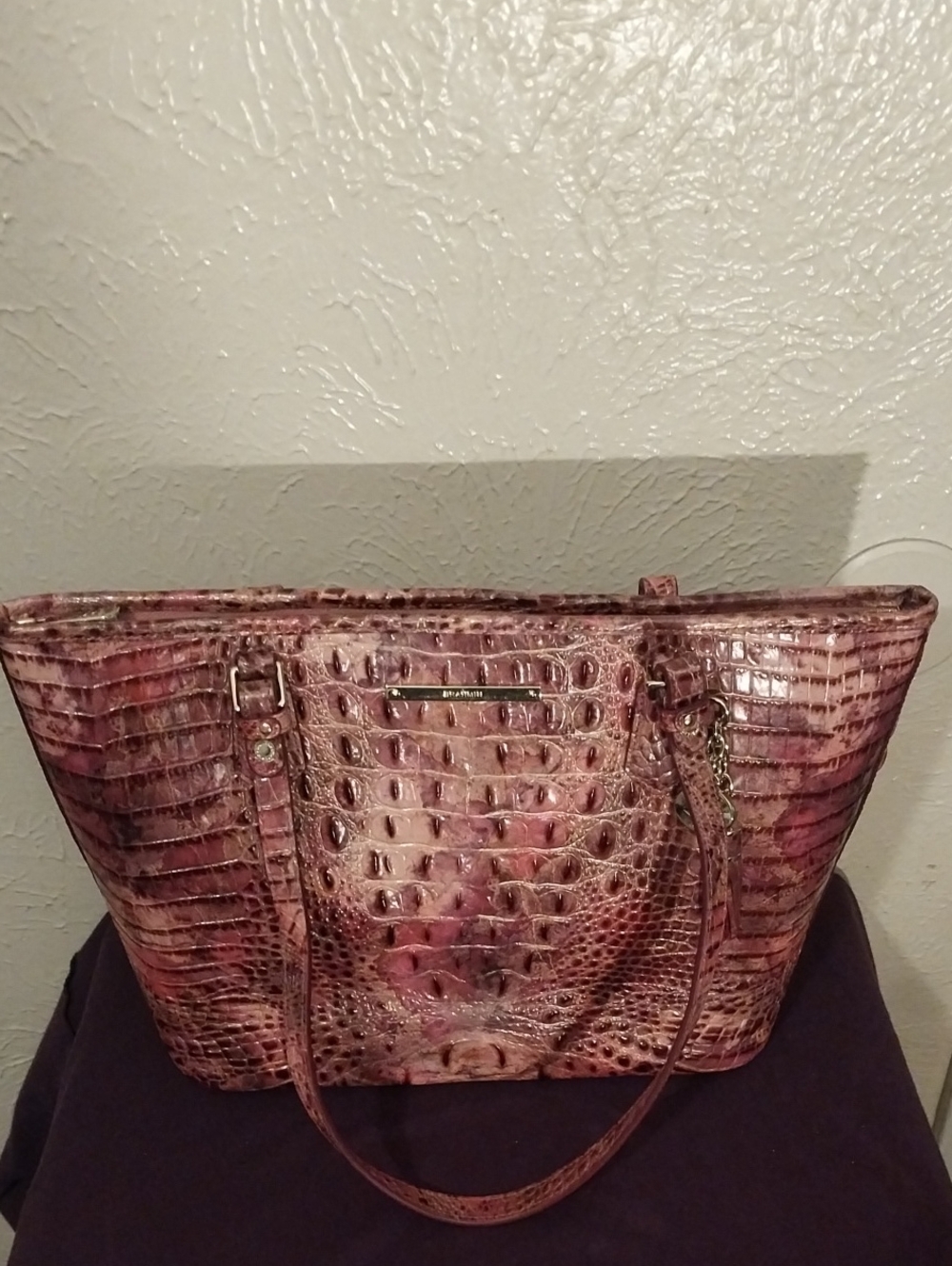 Brahmin Tote Bag